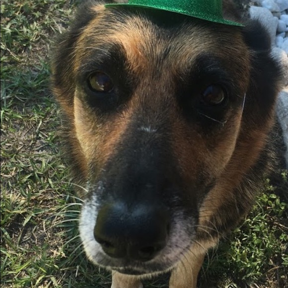 Meet your Posher, Sandra - Picture 2 of 6